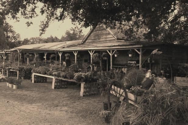 Grandma's House Nursery & Florist