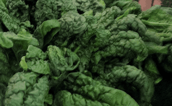 Grandy Farm Market
