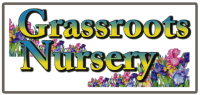 Grassroots Nursery