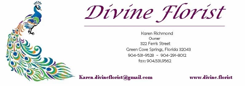 Green Cove Springs Divine Florist
