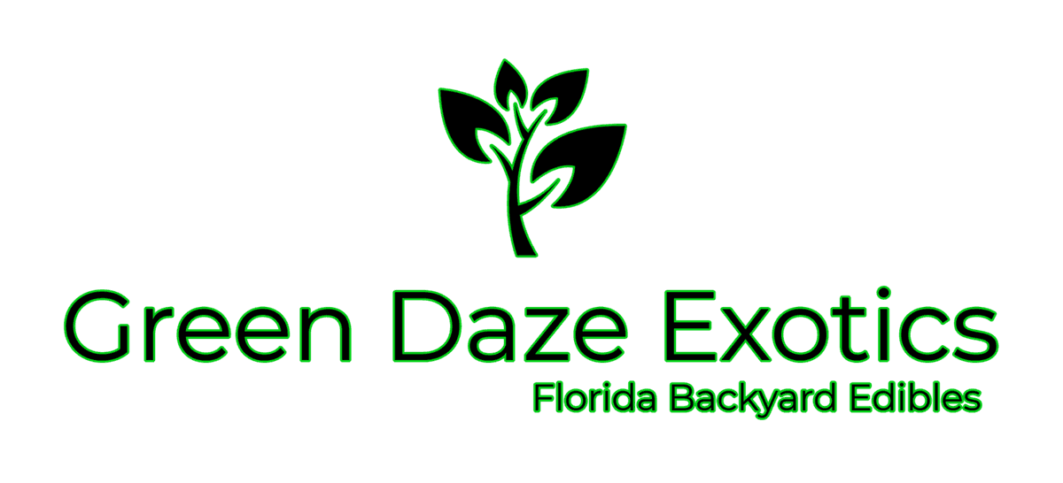 Green Daze Exotics