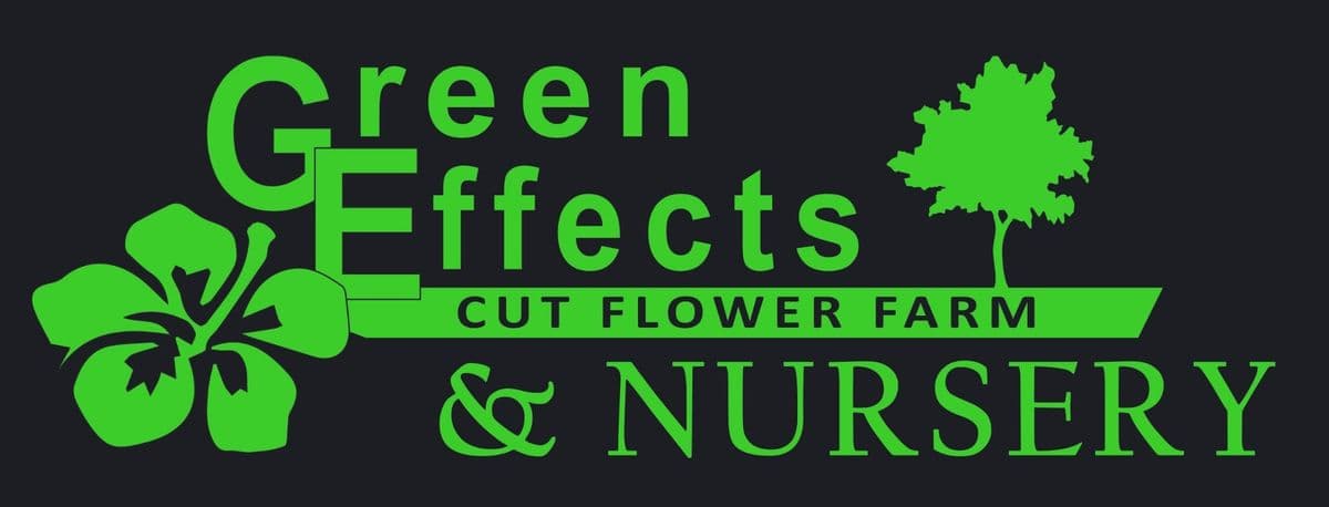 Green Effects Landscaping and Nursery