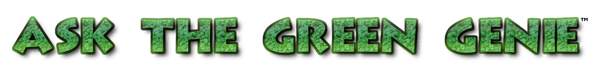 Green Genie Nursery
