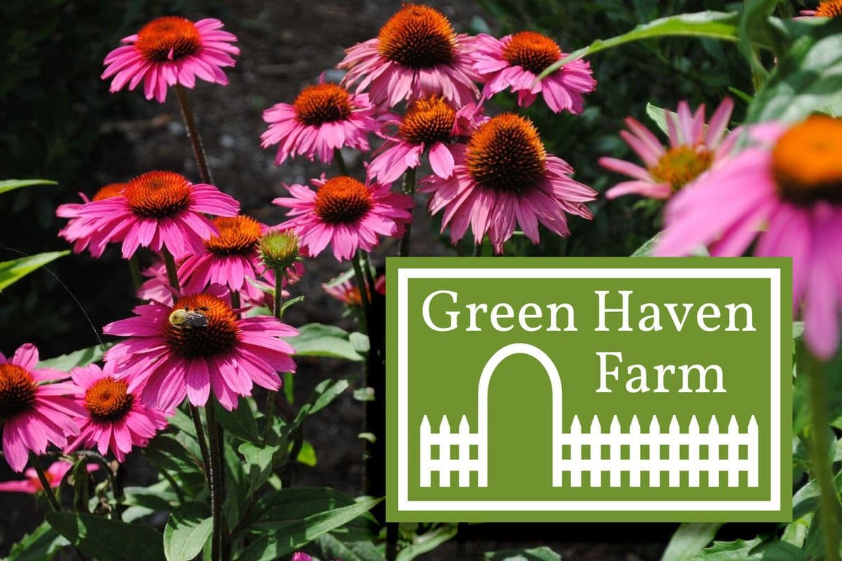 Green Haven Farm