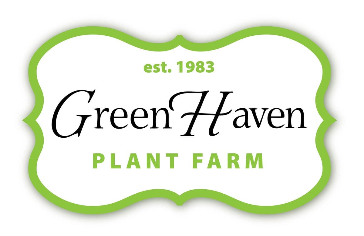 Green Haven Plant Farm