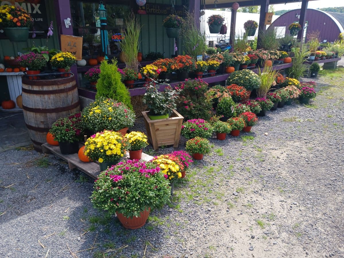 Green Lakes Home and Garden