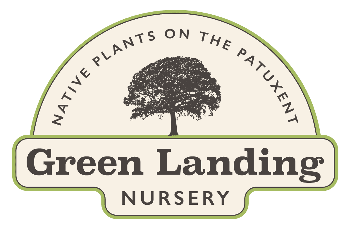 Green Landing Nursery
