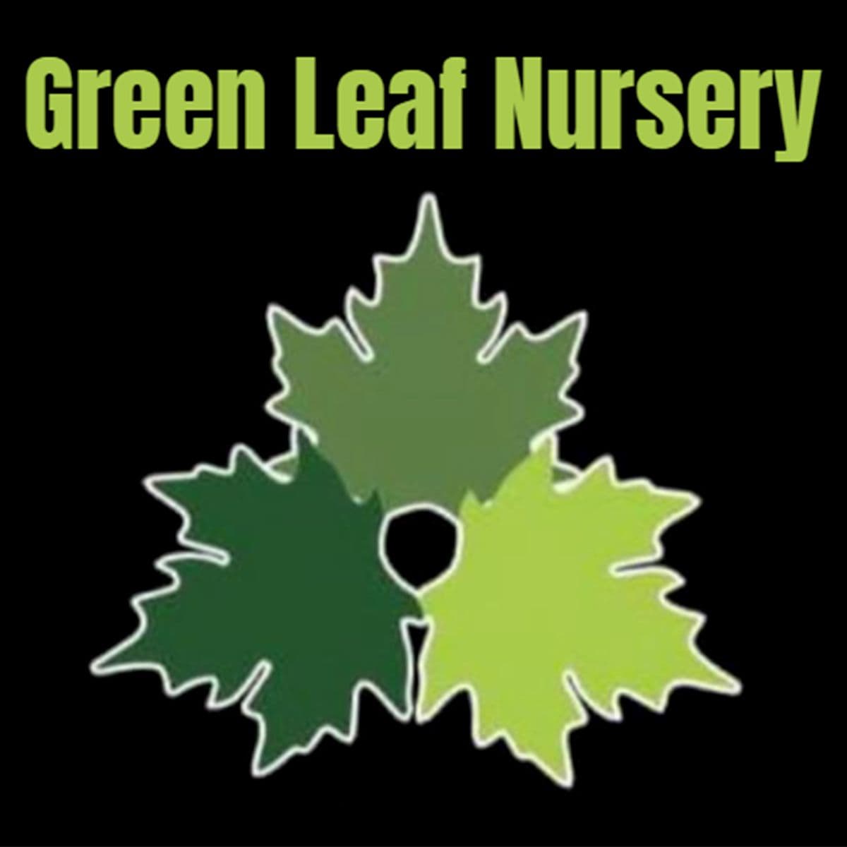 Green Leaf Nursery