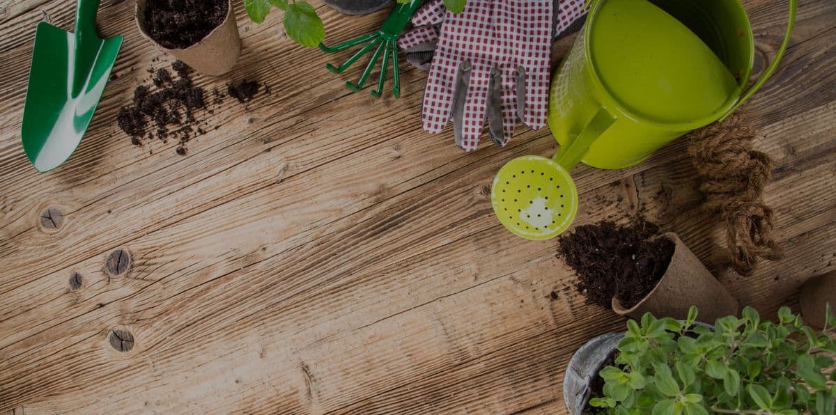 Green Side Up Garden & Gifts