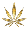 Green Source Genetics - Clones in Fresno