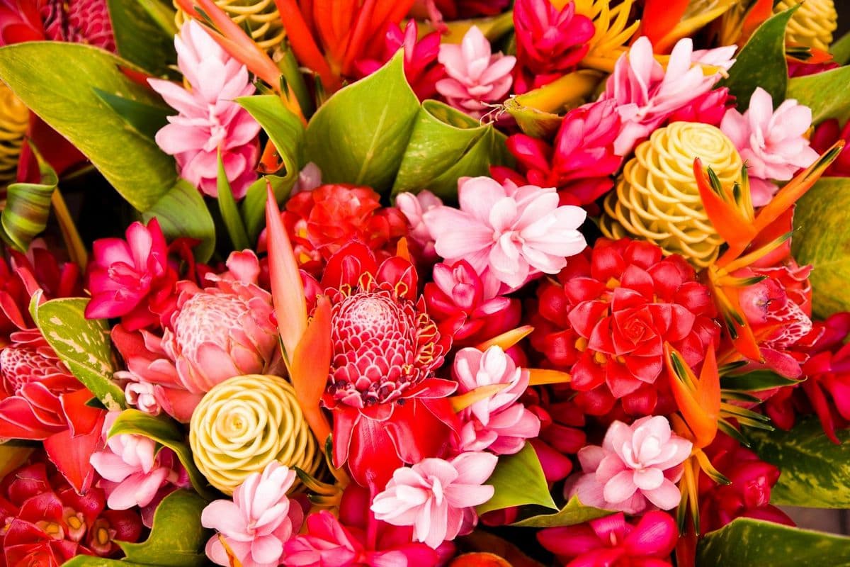 Green Tandem Flower Farm LLC