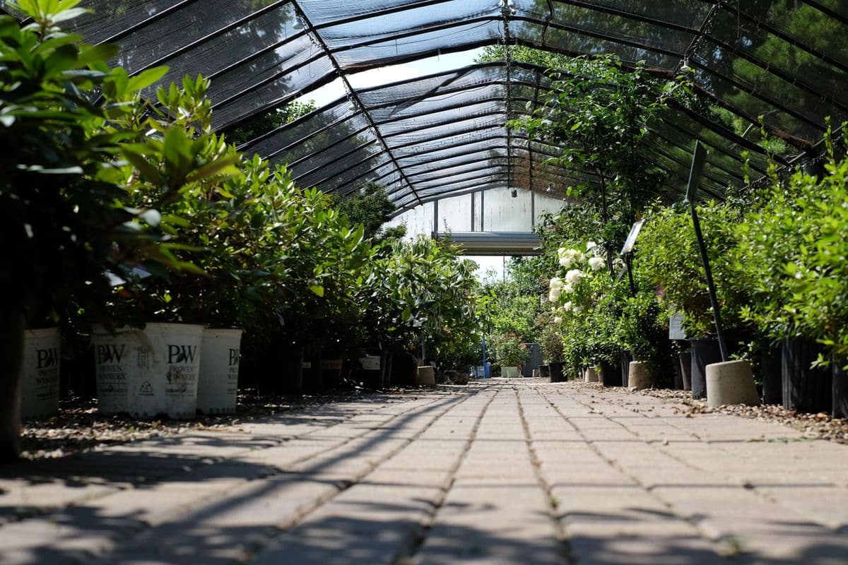 Green View