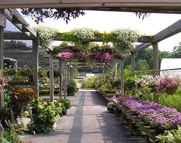 Greenfield Plant Farm - Retail