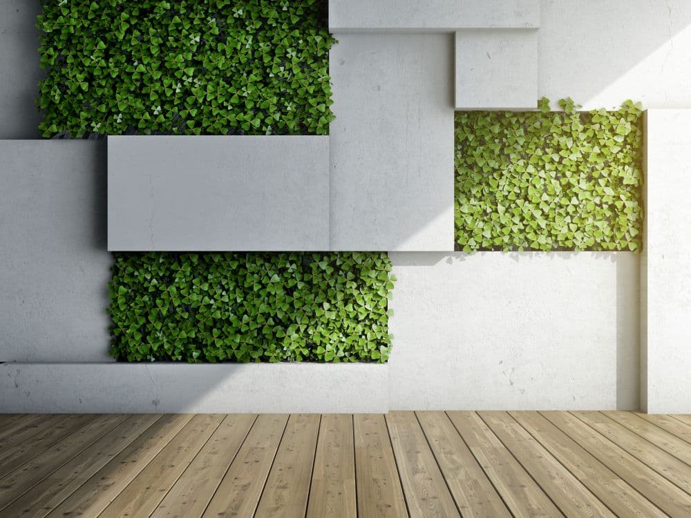 Greenfingers Indoor Plant Sales and Maintenance