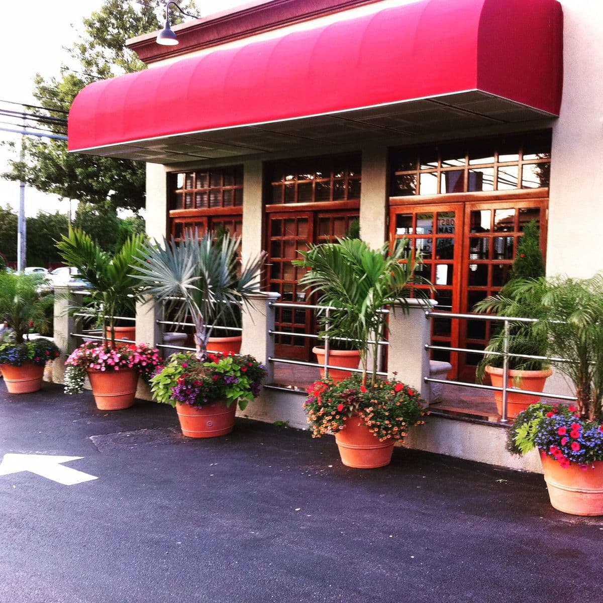 Greenline Plants