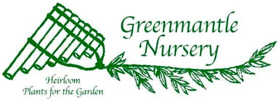 Greenmantle Nursery
