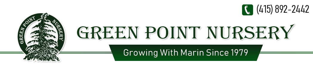 Greenpoint Nursery