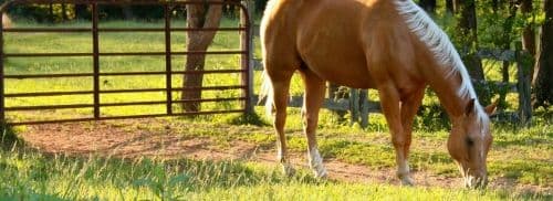 Greensburg Agway