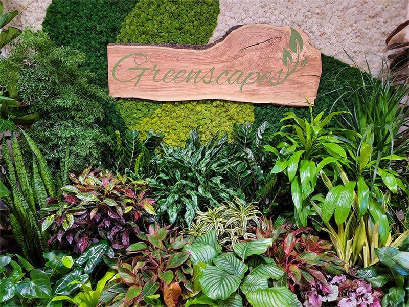 Greenscapes Boutique