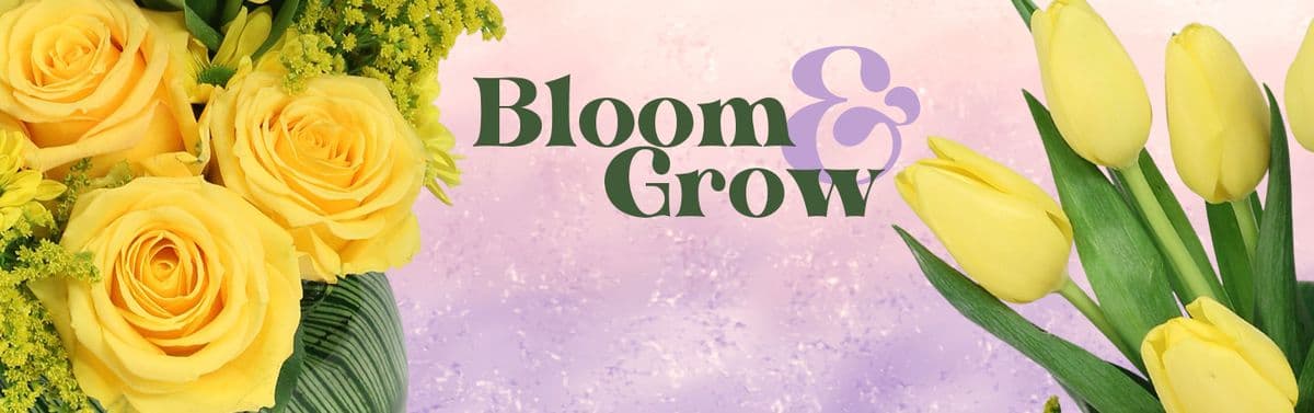 Greensical Flowers Gifts & Decor