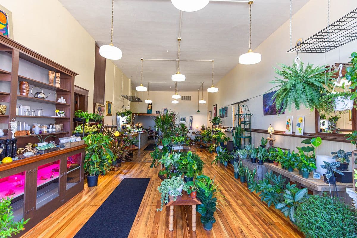 GreenSpace. The Plant Place