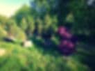 Greenview Landscape Nursery Inc