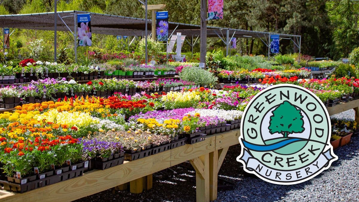 Greenwood Creek Nursery Inc