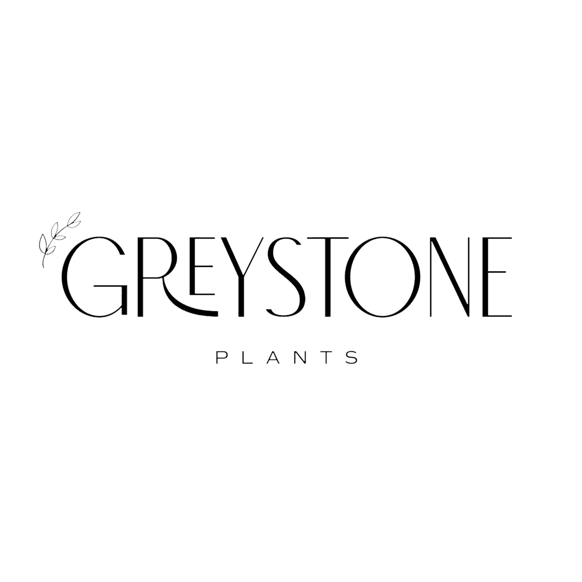 Greystone Plants