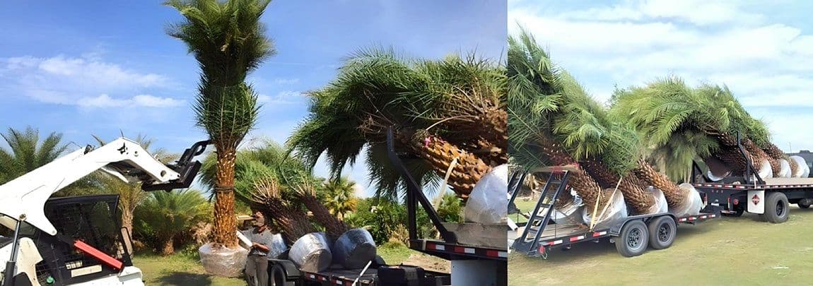 GRIFFIN ROAD NURSERY & LANDSCAPING, LLC.