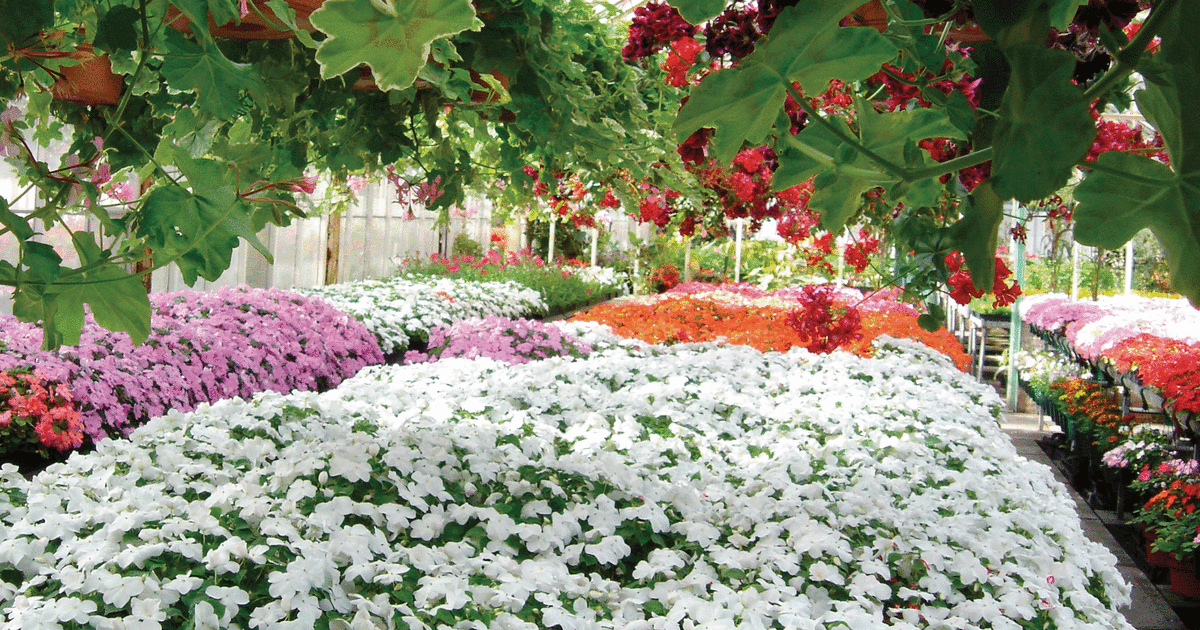 Groden Greenhouse