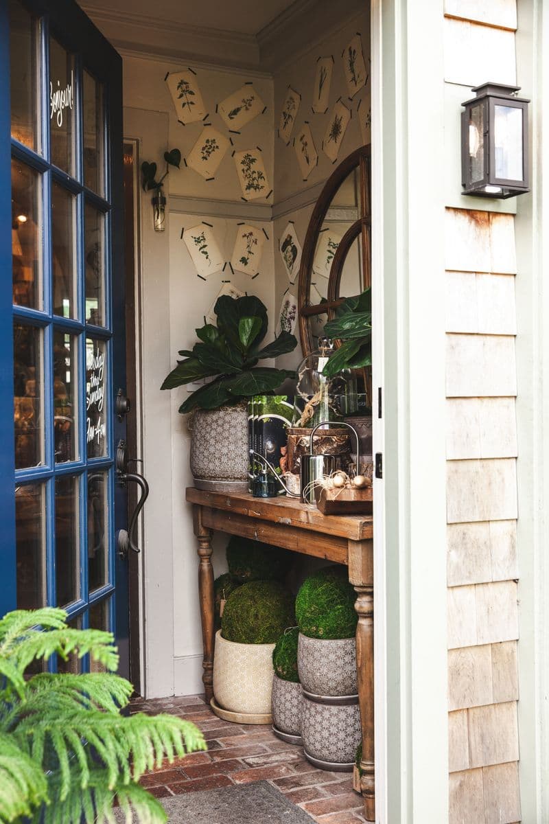 Groundswell Garden + Home