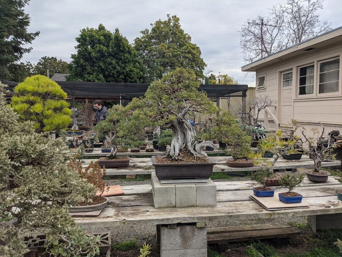 Grove Way Nursery