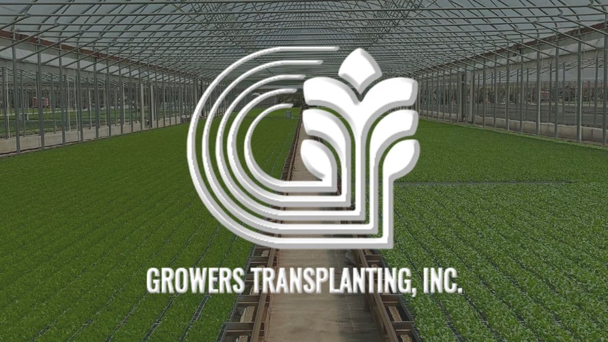 Growers Transplanting