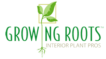 Growing Roots