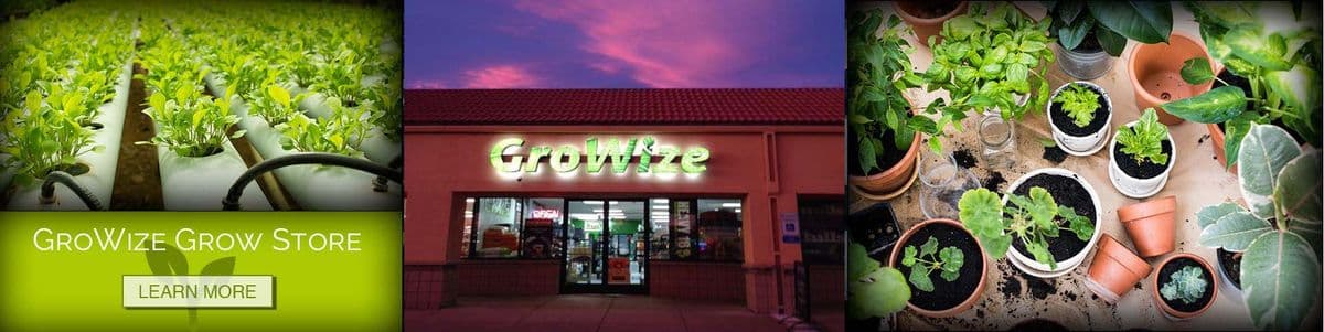 GroWize, Inc.