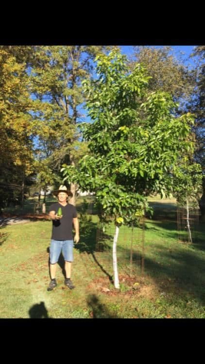 Guacamole Farms