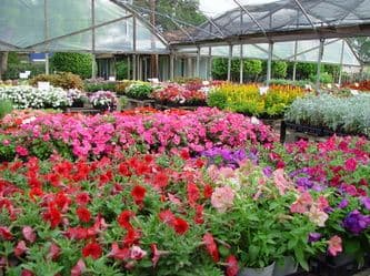 Guerin Nursery and Greenhouses