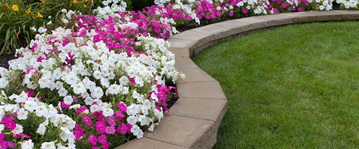 Gulf Coast Landscapes, LLC.