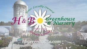 H & B Greenhouse & Nursery