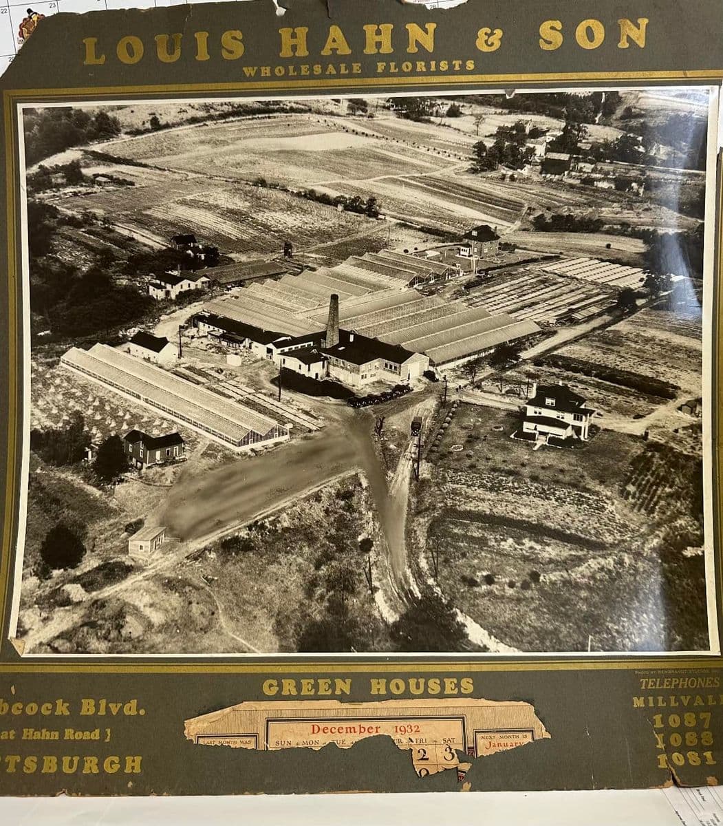 Hahn Nursery Garden Center & Greenhouses