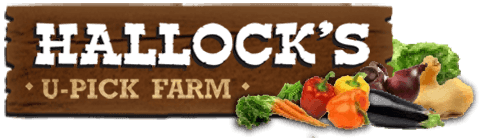 Hallock's U-Pick Farm & Greenhouse LLC