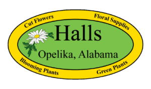 Halls Opelika, Inc.
