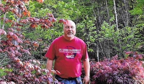 Hall's Wholesale Maples
