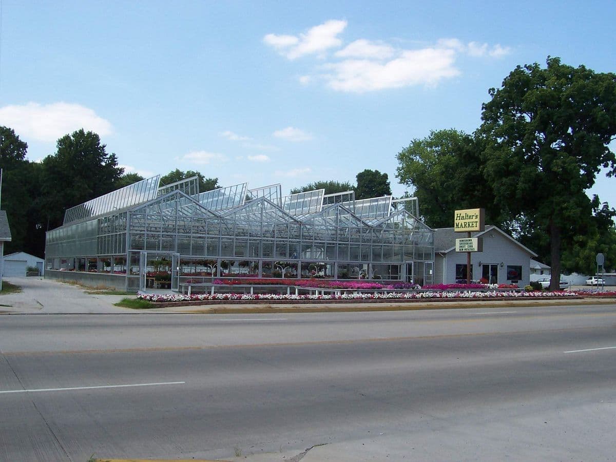 Halter's Market