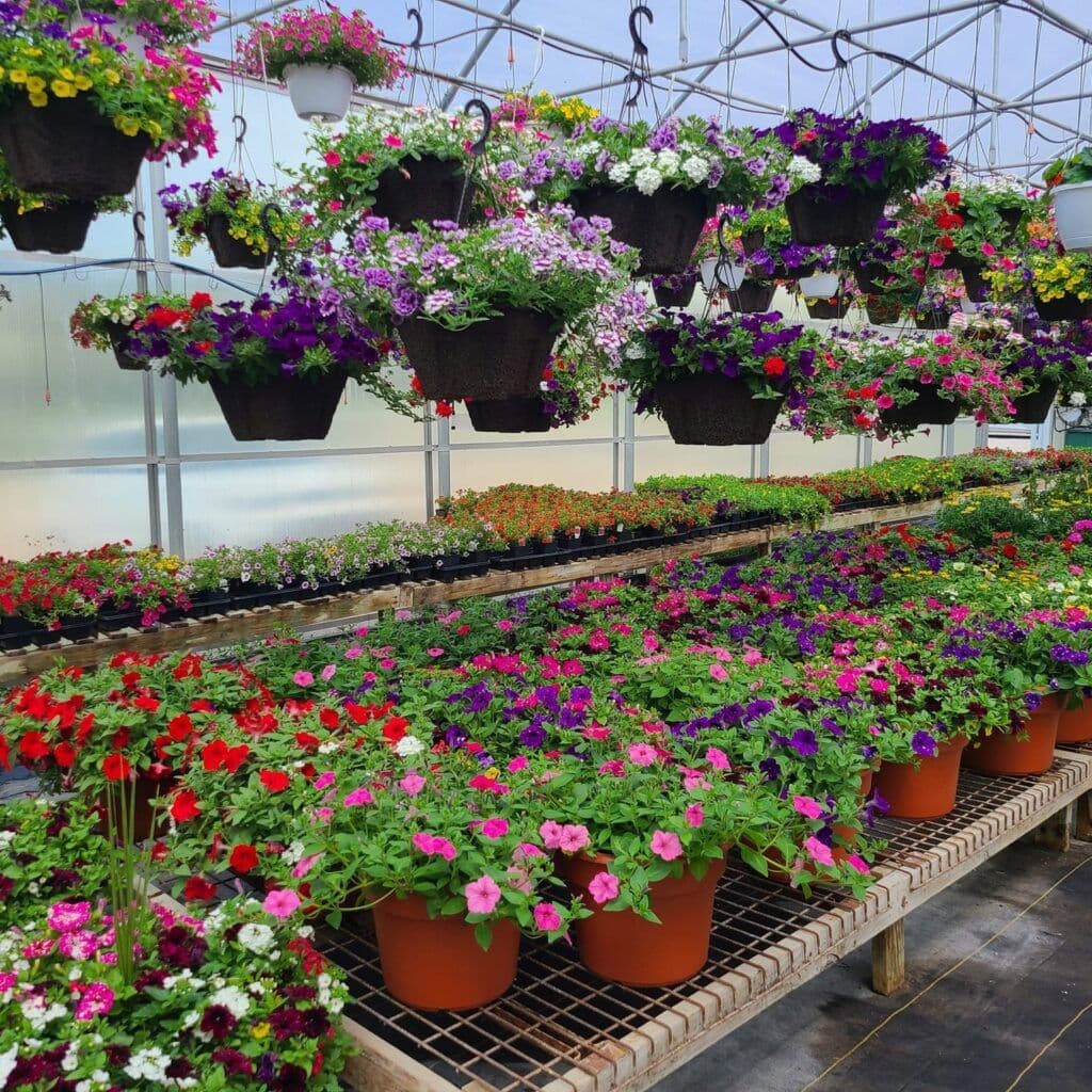 Hamel's Farm Market & Nursery