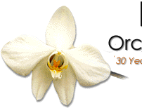 Hamilton Orchids Boarding