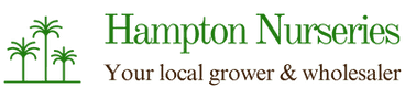Hampton Nurseries