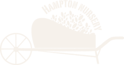 Hampton Nursery Inc