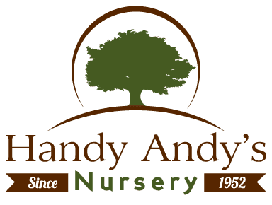 Handy Andy's Nursery