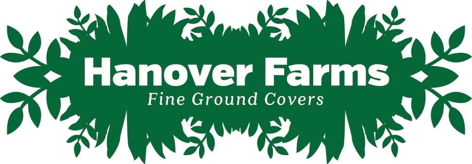 Hanover Farms